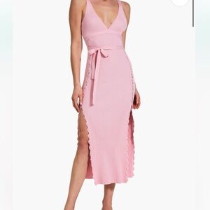Devon Windsor Octavia Pink Dress NWOT